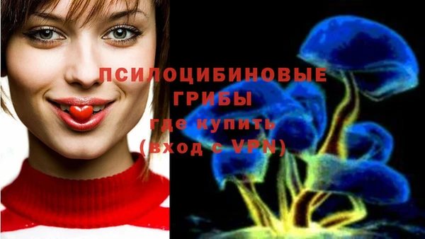 прущая мука Алексин