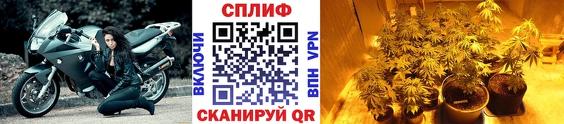 МЕГА рабочий сайт  сколько стоит  Лениногорск  Шишки марихуана тримм 